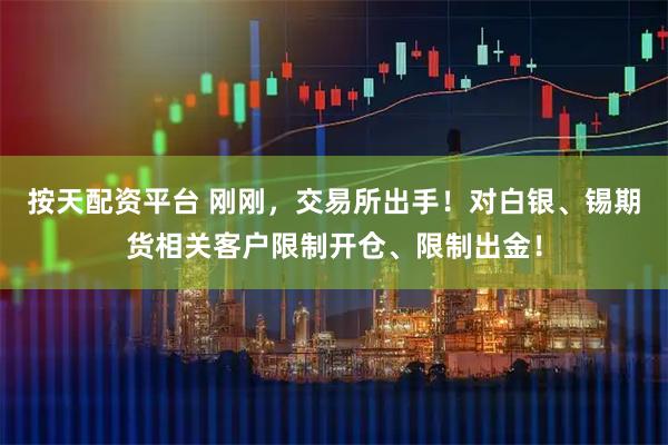 按天配资平台 刚刚，交易所出手！对白银、锡期货相关客户限制开仓、限制出金！