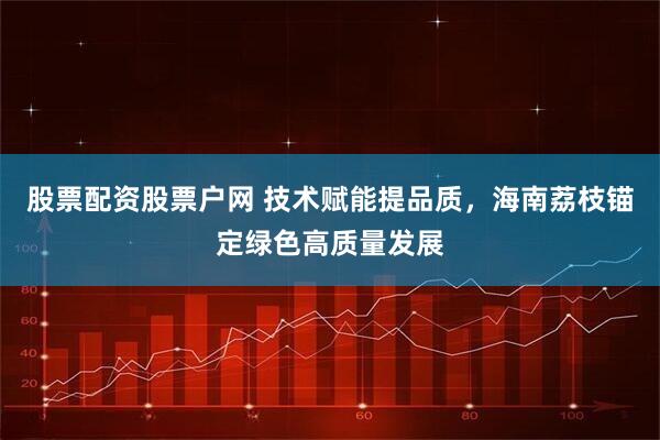 股票配资股票户网 技术赋能提品质，海南荔枝锚定绿色高质量发展