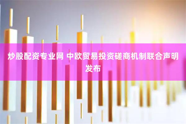 炒股配资专业网 中欧贸易投资磋商机制联合声明发布